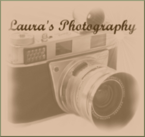 Laura's Photography