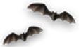 <img:stuff/2Bats_rev.png>