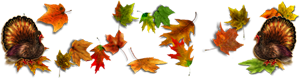 <img:stuff/300DivOfLeaves_Turkeys.png>