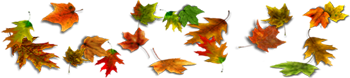 <img:stuff/350DivOfLeaves.png>