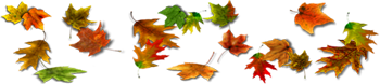 <img:stuff/350DivOfLeaves_rev.png>