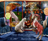 <img200*0:http://elftown.eu/stuff/3HalloweenGuests1250_SD-2007.jpg>