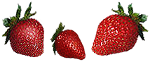 <img:stuff/3Strawberries.png>