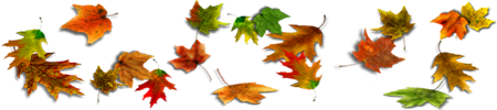 <img:stuff/450DivOfLeaves.png>