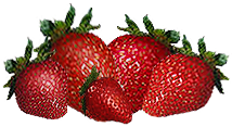 <img:stuff/5strawberries.png>