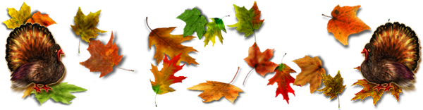 <img:stuff/600DivOfLeaves_Turkeys_rev.png>