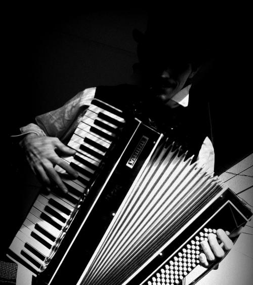 <img500*563:stuff/Accordion_Addict.jpg>