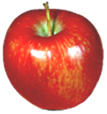 <img:stuff/Apple-Red.png>