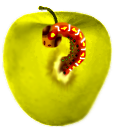 <img:stuff/Apple-Worm3.png>