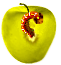 <img:stuff/Apple-Worm3Rev.png>