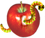 <img:stuff/AppleW-Worm-InRev.png>