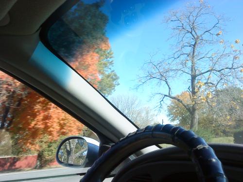 <img500*375:stuff/Autumn_From_Our_Car.jpg>