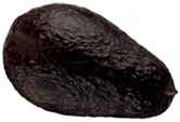 <img:stuff/Avacado_one.png>