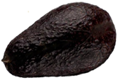 <img:stuff/Avacado_oneRev.png>