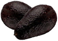 <img:stuff/Avacados.png>