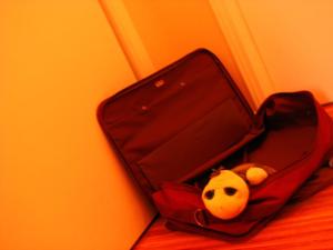 <img300*0:stuff/Baggage.jpg>