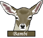 <img:stuff/BambiA.gif>