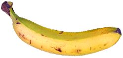 <img:stuff/Banana.png>