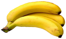 <img:stuff/Bananas.png>