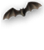 <img:stuff/Bat2_Medhigh_rev.png>