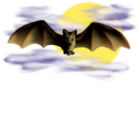 <img:stuff/Bat_center_nightsky.png>