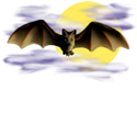 <img:stuff/Bat_center_nightskySM.png>