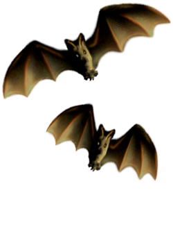 <img:stuff/Bats-2leftNright.png>