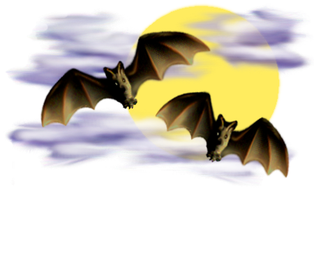 <img:stuff/Bats-2leftNright_nightsky.png>