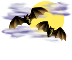 <img:stuff/Bats-2leftNright_nightskyMED.png>