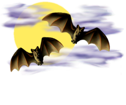 <img:stuff/Bats-2leftNright_nightskyMed_rev.png>