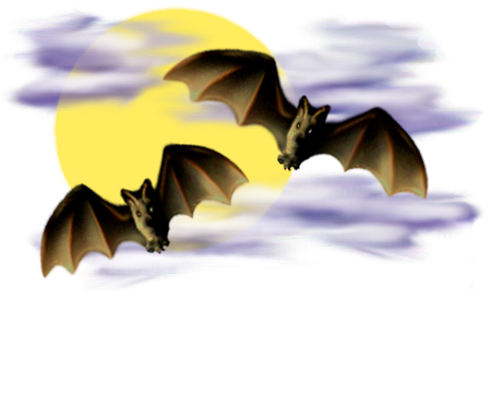 <img:stuff/Bats-2leftNright_nightsky_rev.png>