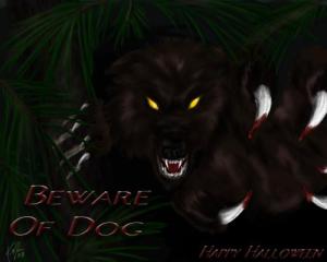 <img300*0:http://elftown.eu/stuff/Beware_of_Dog.jpg>