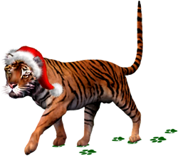 <img:stuff/BigCatOnTheProwl_test250_rev.png>