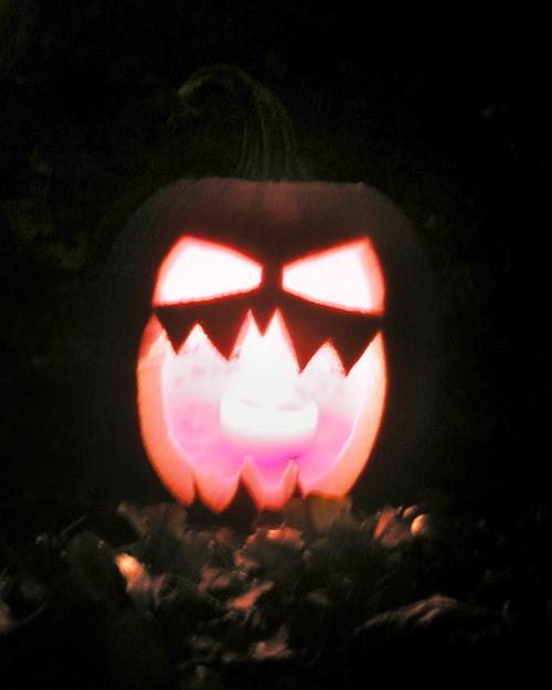 <img500*0:stuff/Bill%20Pumpkin2%20S09.jpg>