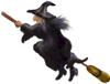 <img:stuff/Broom-WitchSM_rev.png>