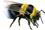 <img:stuff/Bumblebee_crawl_right_tiny.png>