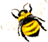 <img:stuff/Bumblebee_left_Xsm.png>