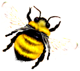 <img:stuff/Bumblebee_right.png>
