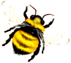 <img:stuff/Bumblebee_right_SM.png>