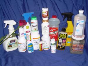 <img300*0:stuff/C%3ADocuments%20and%20SettingsRoseMy%20DocumentsMy%20Picturesbottles.JPG>