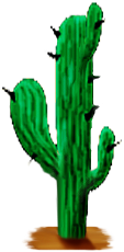 <img:stuff/Cactus1.png>