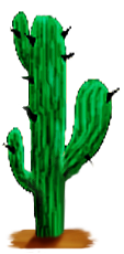 <img:stuff/Cactus2.png>