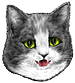 <img:stuff/CatHappy-Smile_emotion_test.png>