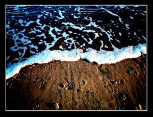 <img300*0:stuff/Caz_sandseacontest-shoreline.jpg>