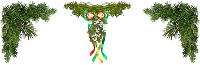 <img:stuff/ChristmasHouseTopEvergreenMistletoe.png>