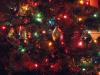Christmas_Tree