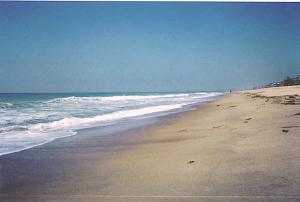 <img300*0:stuff/Cia%27s%20beach%20north%20cali.jpg>