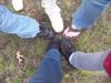 Circle_of_SHOES!