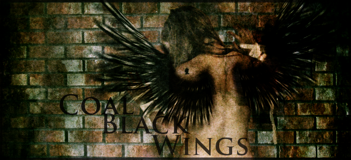 <img:stuff/Coal%20Black%20Wings%20b.png>