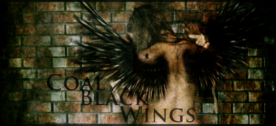 Coal Black Wings